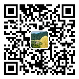 凤彩网官方网首页